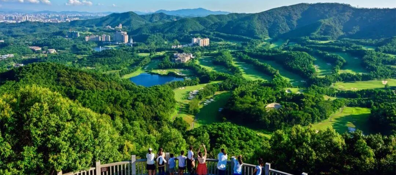 Новый автобус соединяет Шэньчжэнь и лесопарк Дапинчжан в Дунгуане